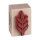 Wooden stamp pinnate leaf 26 x 36 mm