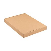 Schachtel mit Klappdeckel, A4 ,Kraftkarton, stabil, braun, 30 mm hoch