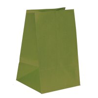 Gift bag 24 x 22 x 38 cm, green kraft paper 120 m²,...