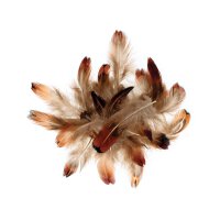 Pheasant feathers, 3-5 cm, nature, 3 gr.