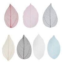 Foliage leaves, various colors, 6 - 8 cm, pack/20 pieces