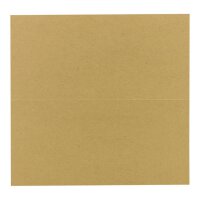 Folding card DL Kraft cardboard 225, 244 or 283 g/m², 100 x 210 mm - 25 pieces/pack